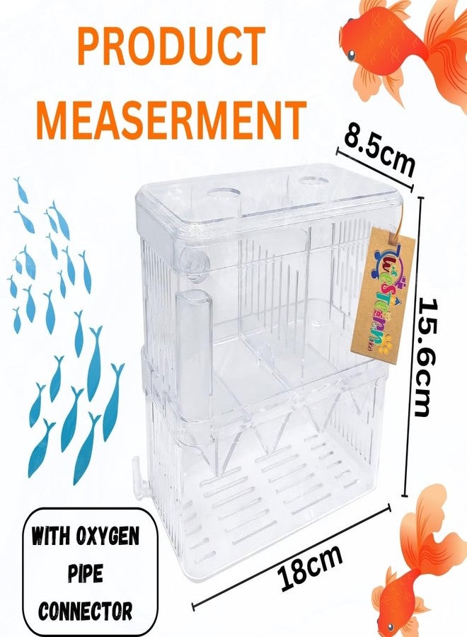 Western Era Fish Isolation Chamber Offers a Secure and efficient Method for segregating Fish Within Aquarium. Its Adaptable Design Allows for Customized use, Serving as an Aquarium Isolation Chamber. - Image 3